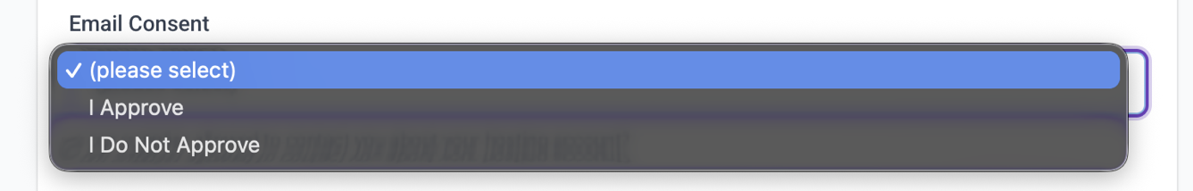 InfinityFreeのEmail Consent選択画面