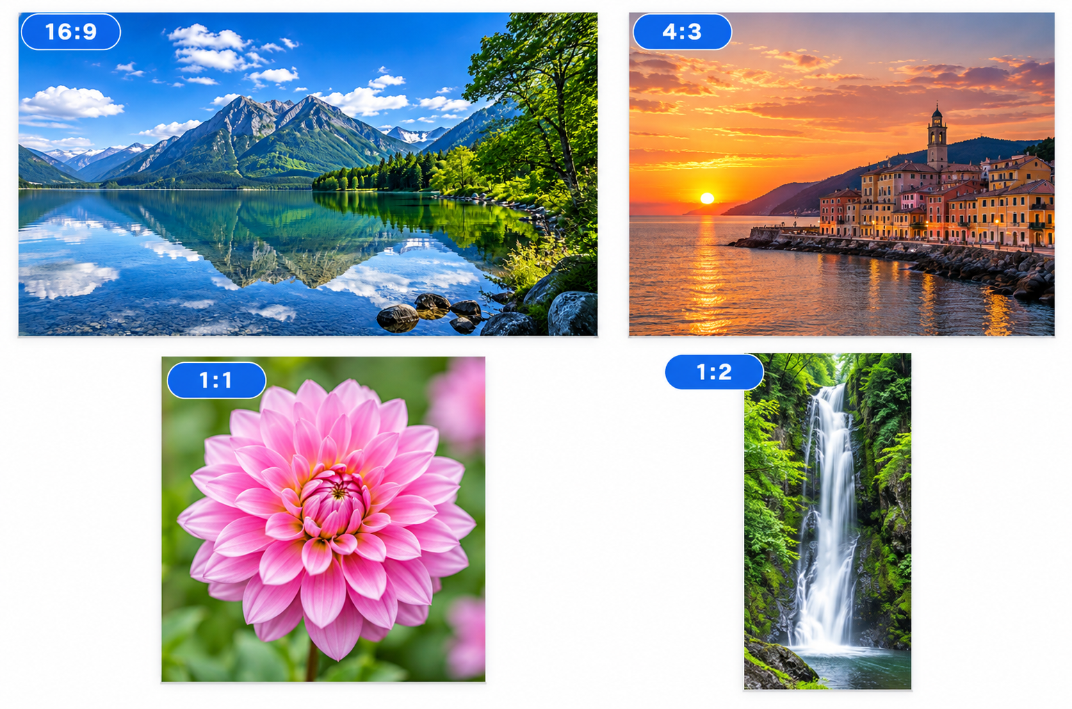 16:9・4:3・1:1・1:2の比率が異なる画像の比較一覧